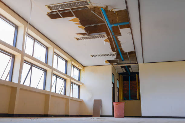 Best Water damage restoration near me  in Fords Prairie, WA
