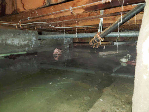 Best Professional water damage repair  in Fords Prairie, WA