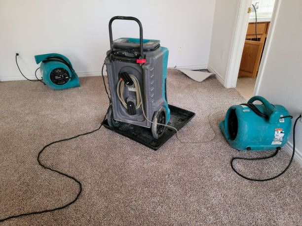 Best Flood damage cleanup  in Fords Prairie, WA