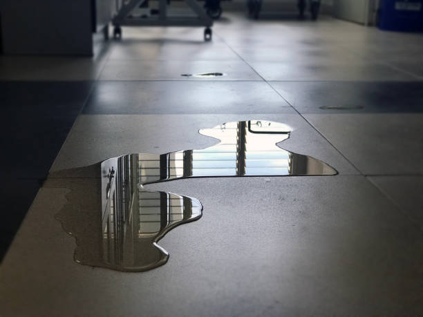 Best 24-hour water damage restoration  in Fords Prairie, WA