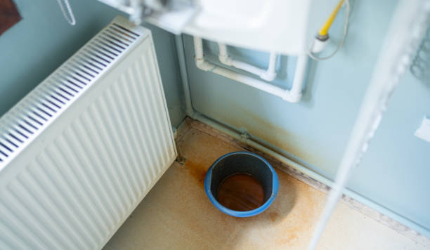 Water damage restoration mold remediation in WA