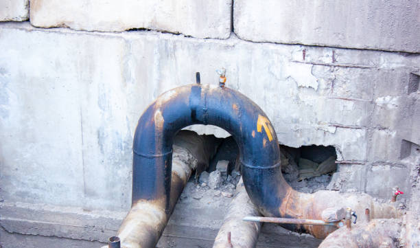 Best Mold removal after water damage  in Fords Prairie, WA